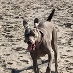 Diane Frederick - @diane.l.frederick - Instagram