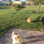 Diane Frey - @myladydiane44 - Instagram