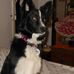 Diane Gant Dahl - Facebook