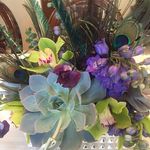 Diane Garber - @garber.d - Instagram