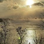 Diane Garrison - @dianegarrison907 - Instagram