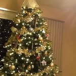 Diane Garrison - @digarrison126 - Instagram