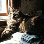 Diane Garvey - @garveydiane - Instagram