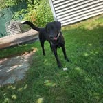 Diane Garvey - @di.ane630 - Instagram