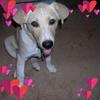 Diane Geller Grafton - @diane.geller.graf - TikTok