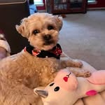 Diane Getz - @dbower883 - Instagram