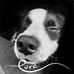 Diane Giancola - Facebook