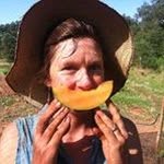 Diane Ginney Bollinger - @diginney - Instagram