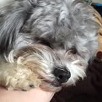 Diane Gladding - @diane.gladding - Instagram