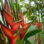 Diane Glancy - @dnglancy - Instagram