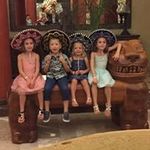Diane Glaser Hajewski - @dianehajewski - Instagram
