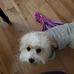 Diane Glick - Facebook