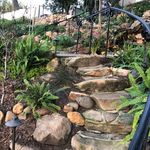 Diane Glick - @small_gardens_big_life - Instagram