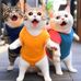 Diane La Go - Facebook
