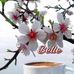 Diane La Go Pdq - Facebook