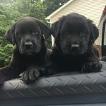 Diane Goad - @mamagoad52 - Instagram