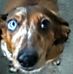 Diane Gooch - Facebook