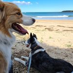 Diane Goode - @diane.goode.75 - Instagram