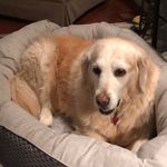 Diane Goode - @goode.diane - Instagram