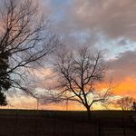 Diane Goode Roggenkamp - @diane_lynn_roggenkamp - Instagram