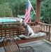 Diane Gooding - Facebook