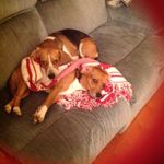 Diane Gooding - @dgooding67 - Instagram