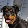Diane Gooding - @diane.gooding - TikTok