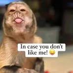 Diane Gore - Facebook
