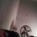 Diane Goss - Facebook