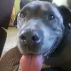 diane_gotti123 - @diane_gotti123 - TikTok