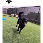 Diane Roberson Kyle Gott - @dianerobersonkylegott - Instagram