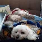 Diane Gower - @diane.gower.58 - Instagram