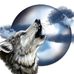 Diane Gower - Facebook