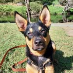 Diane Gower - @di.gower - Instagram