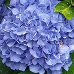 Diane Holtzman Gower - @holtzmangower - Instagram