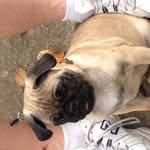 @diane_gradner13 - Instagram