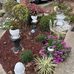 Diane Grady - Facebook