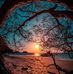 Diane Grantham - Facebook