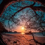 Diane Grantham - @diane.grantham.165 - Instagram