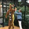 Diane Powell Grassi - @dianepowellgrassi - TikTok