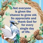 Diane Greenleaf - @diane_greenleaf - Instagram