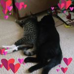 Diane Grell - @grelldiane - Instagram