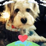 Diane Grenon - @grenon_diane - Instagram