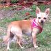 Diane Gresham - Facebook