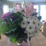 diane griffiths - @dianegriffithsdianegriffiths73 - Instagram
