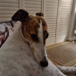 Diane Griffiths - @dianegriff21 - Instagram