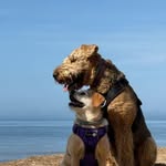 Diane Astley Grigg - @dianeastleygrigg - Instagram