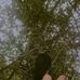 Diane Guillo - Facebook