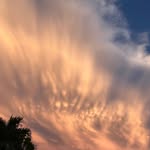 Diane Grimes - @dianeg68 - Instagram