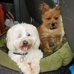Diane Grimes - @grimesdiane - Instagram